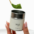 Uji Seya Matcha