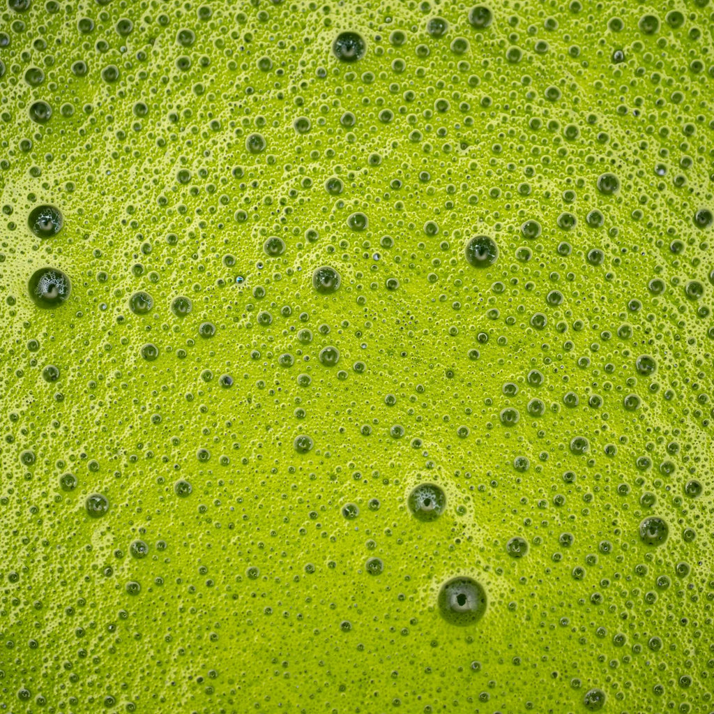 Uji Seya Matcha