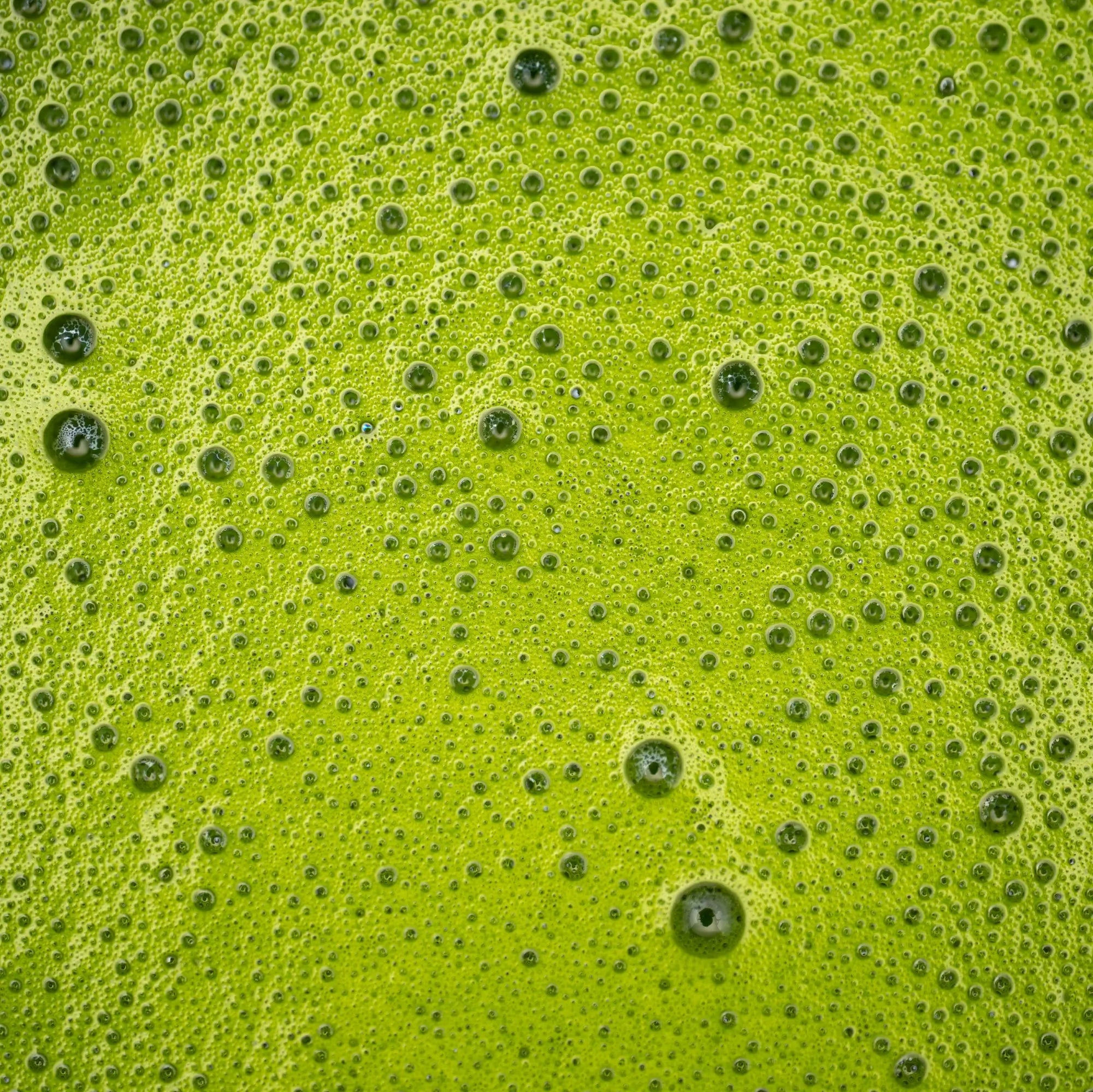 Uji Seya Matcha